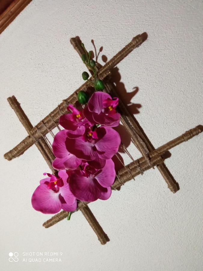 Casa Dos Grilos ペナコーヴァ エクステリア 写真