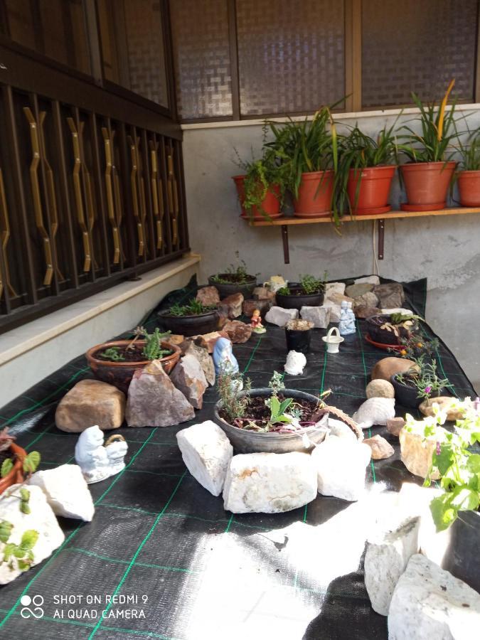 Casa Dos Grilos ペナコーヴァ エクステリア 写真