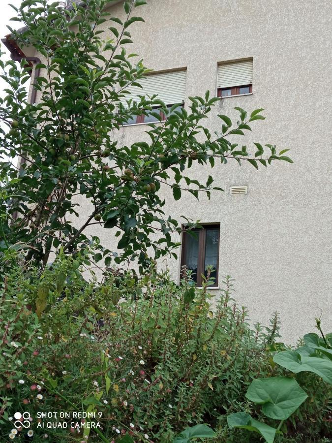 Casa Dos Grilos ペナコーヴァ エクステリア 写真